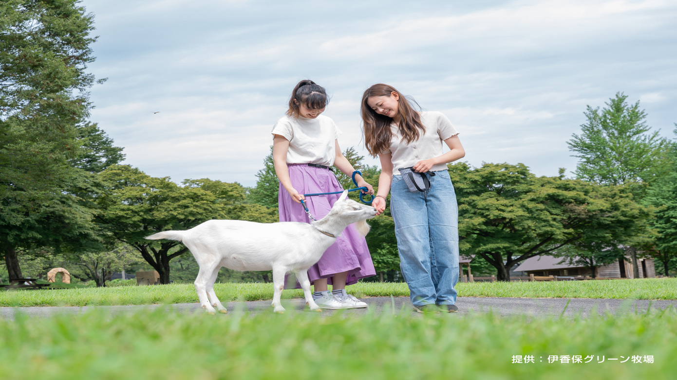 伊香保グリーン牧場チケットつき　一泊二食バイキングプラン