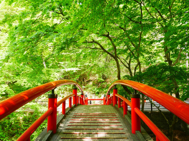 新緑　河鹿橋