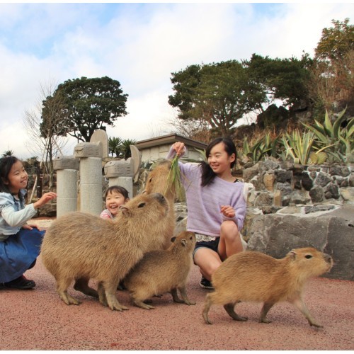 伊東温泉　伊東小涌園 - 写真 118