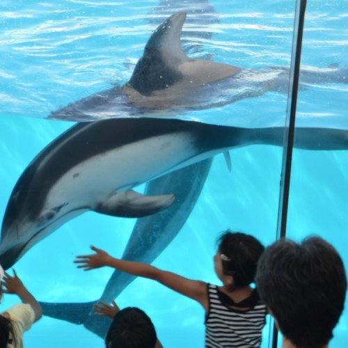 伊東温泉　伊東小涌園 - 写真 114