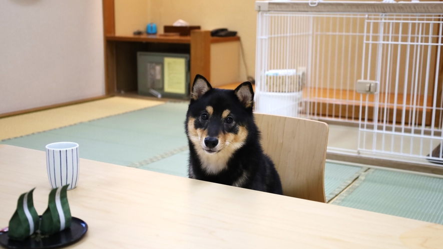 ペットプラン用和室
