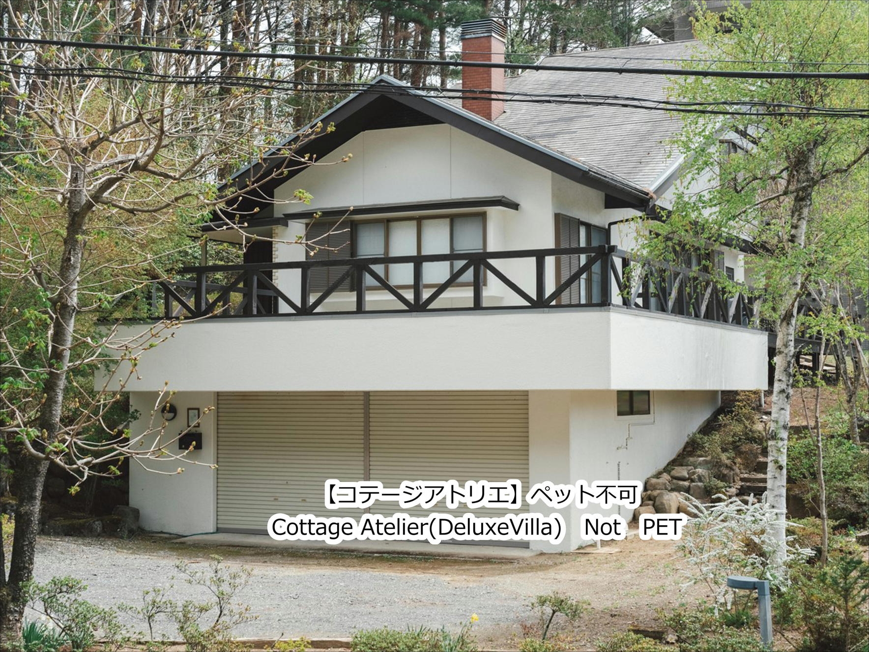 森の中にたたずむ空間　大自然を感じて過ごす別荘【朝食付きプラン】