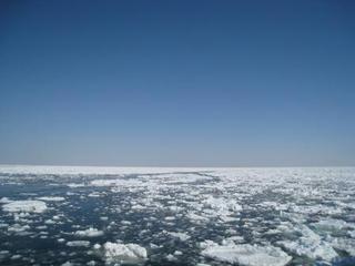 オホーツク海の流氷