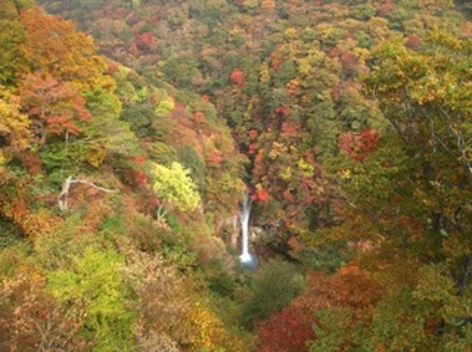 ◆秋◆駒止の滝