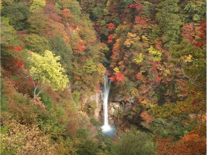 ◆秋◆那須平成の森　駒止の滝　紅葉