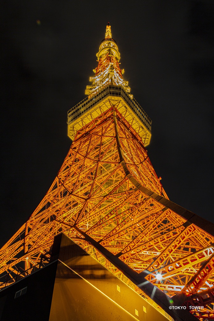 東京タワー外観(夜イメージ)