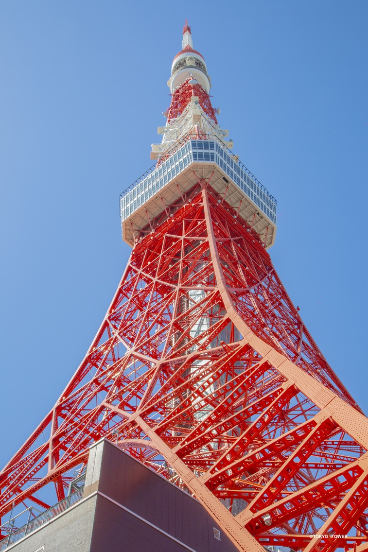  ライトアップを間近で♪東京タワーメインデッキ入場券付きご宿泊プラン