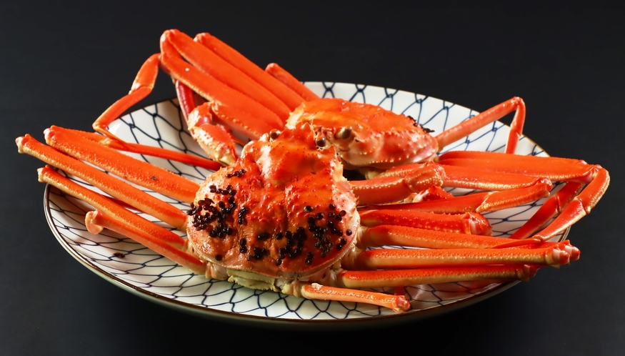 【冬季限定】富山湾の紅ずわい蟹