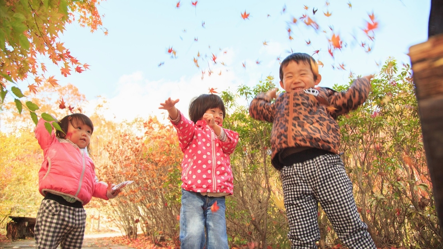 【秋】敷地内の紅葉で遊ぼう！