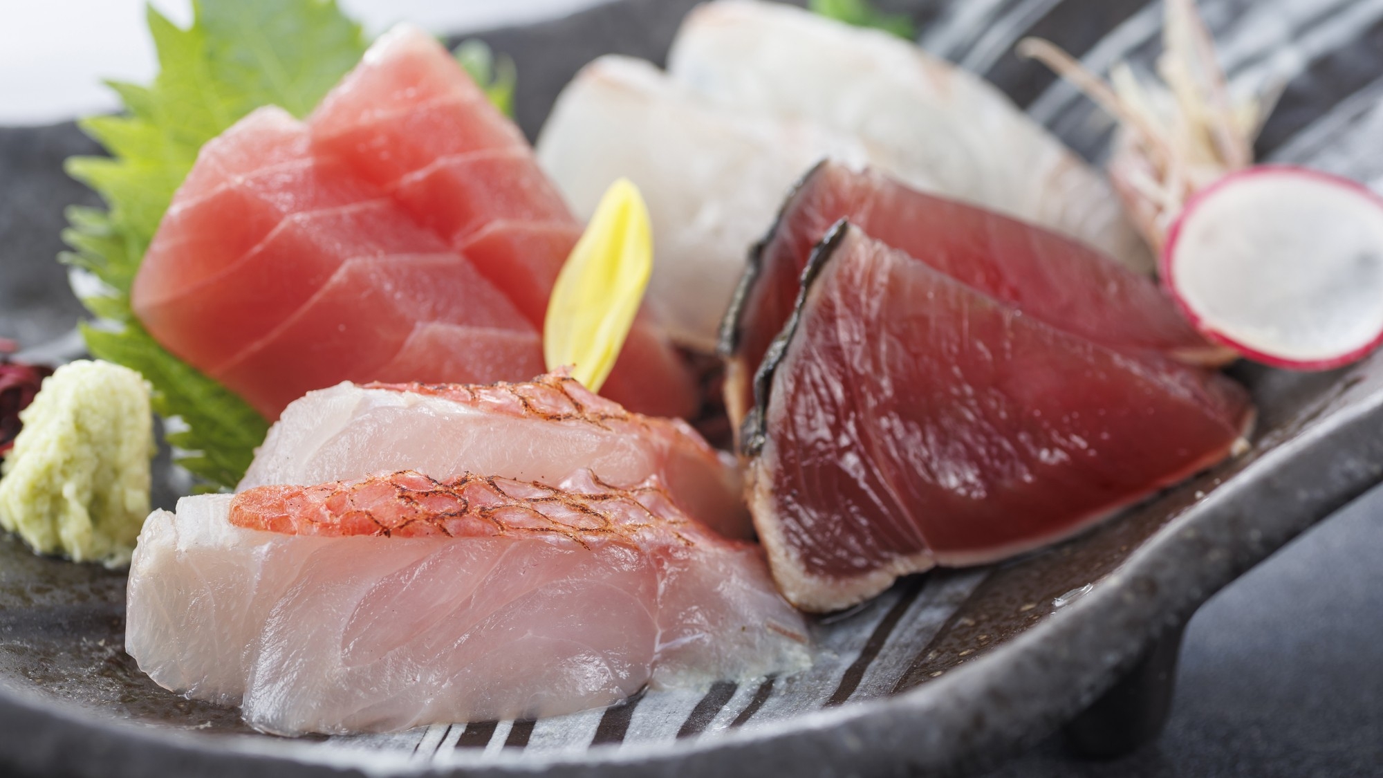 【ペット可】【特選「会席」プラン】国産牛、イセエビ、相模湾の新鮮魚介のお造りを味わう