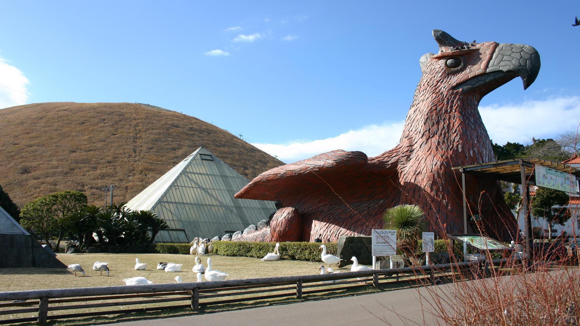 シャボテン公園イメージ②