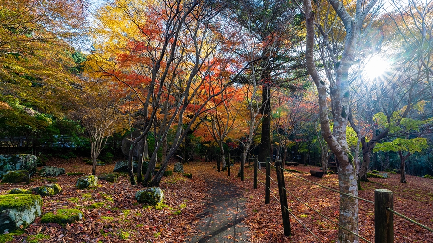 天城紅葉