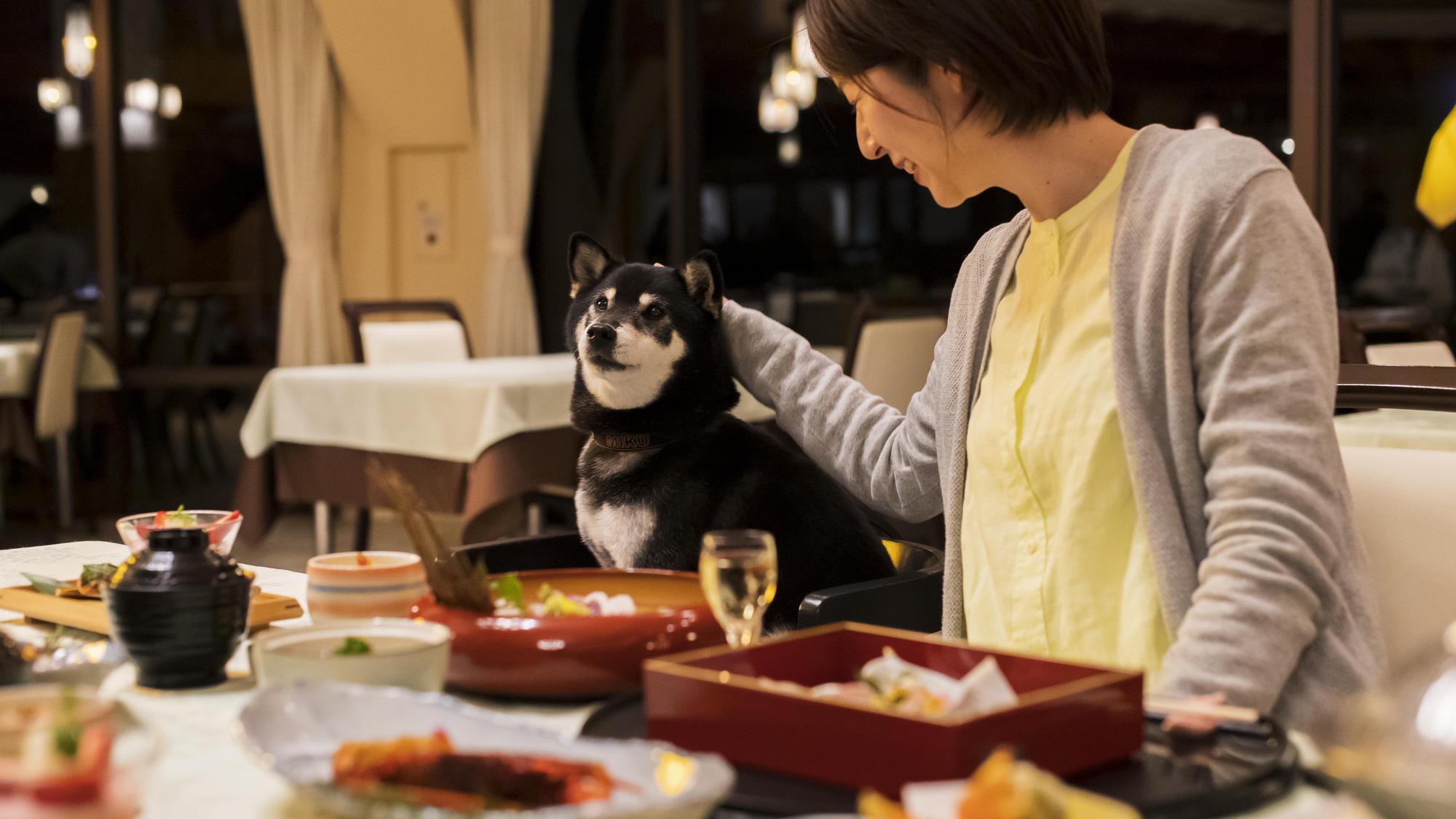 レストランでもわんちゃんと一緒に。素敵な時間をお過ごしください。