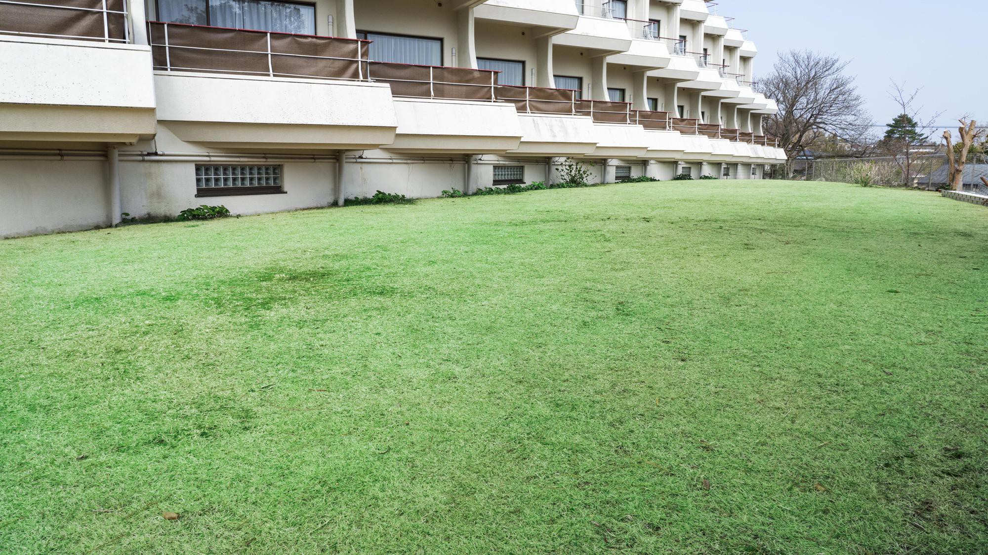 海の見える芝生広場：敷地内にある芝生広場からは、名前の通り太平洋がご覧いただけます。