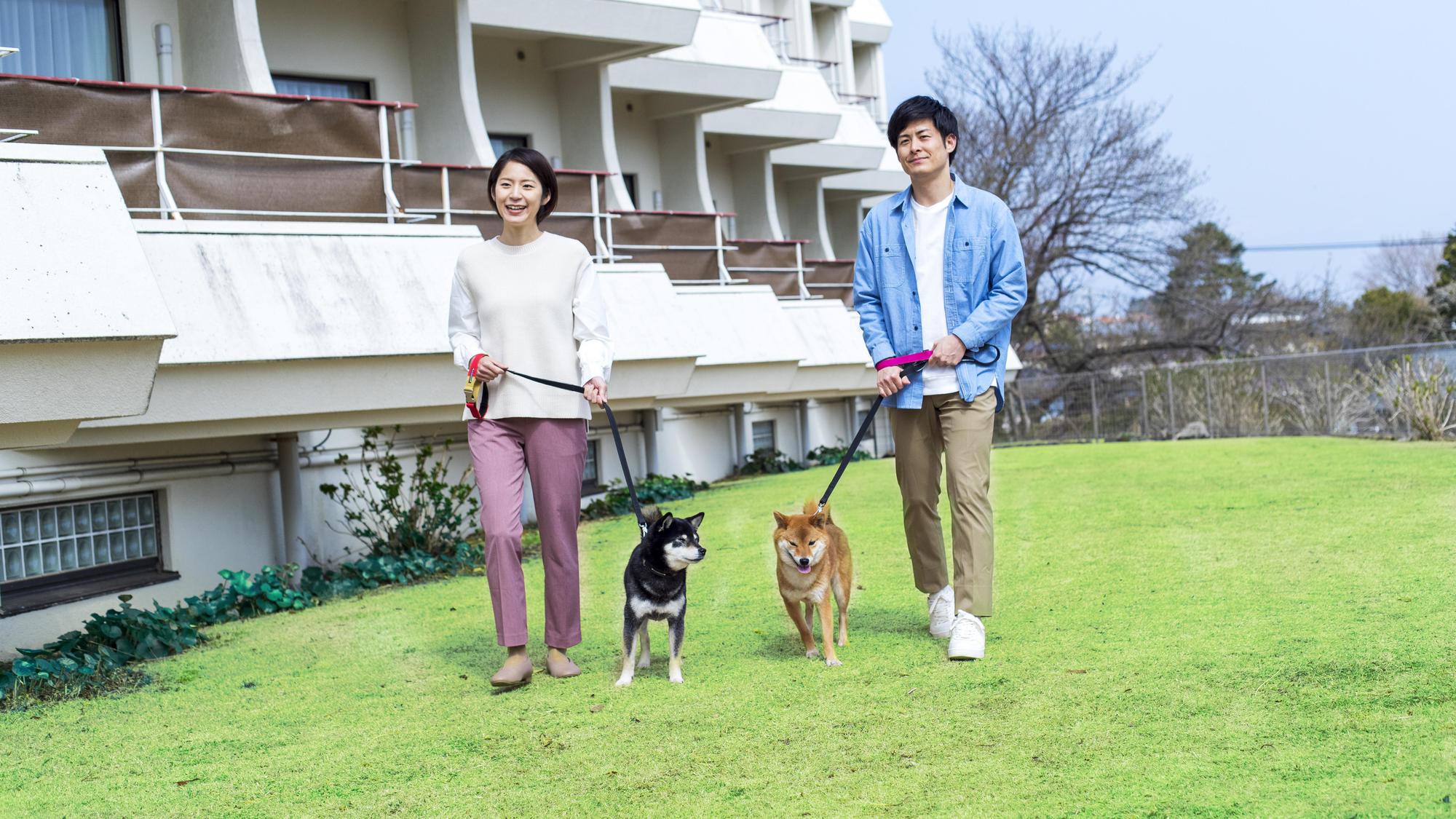 安全のため、海の見える芝生広場では必ずリードをつけてご利用くださいますようお願いいたします。