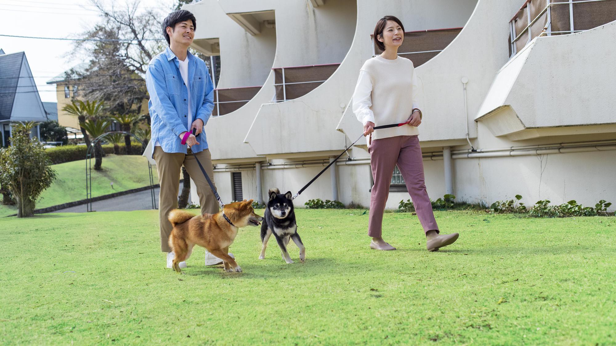 海の見える芝生広場：わんちゃんとお散歩しながら景観をお楽しみいただけます。