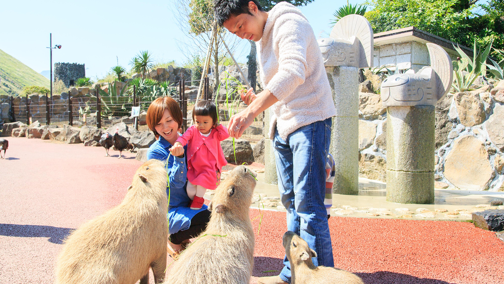 【シャボテン公園】えさやり体験