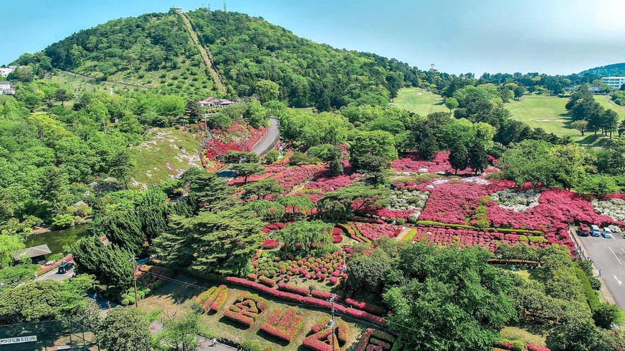 小室山つつじ園