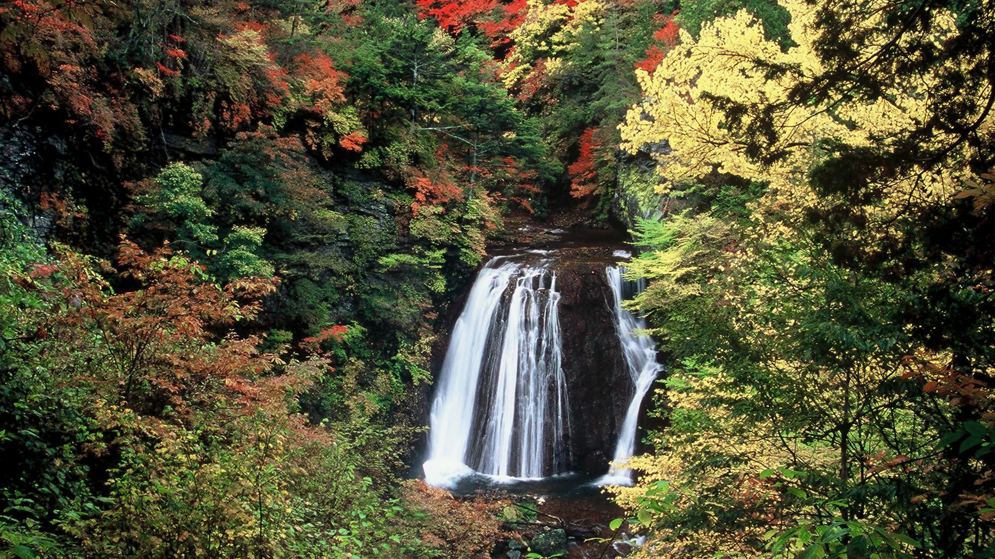 【周辺観光】横谷渓谷の紅葉