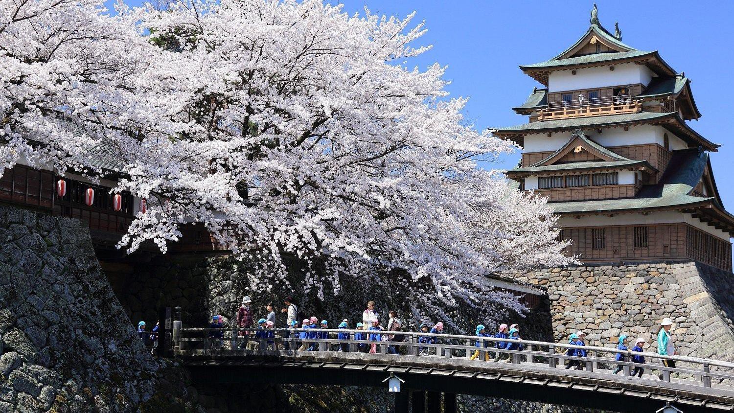 【周辺観光】諏訪高島城の桜