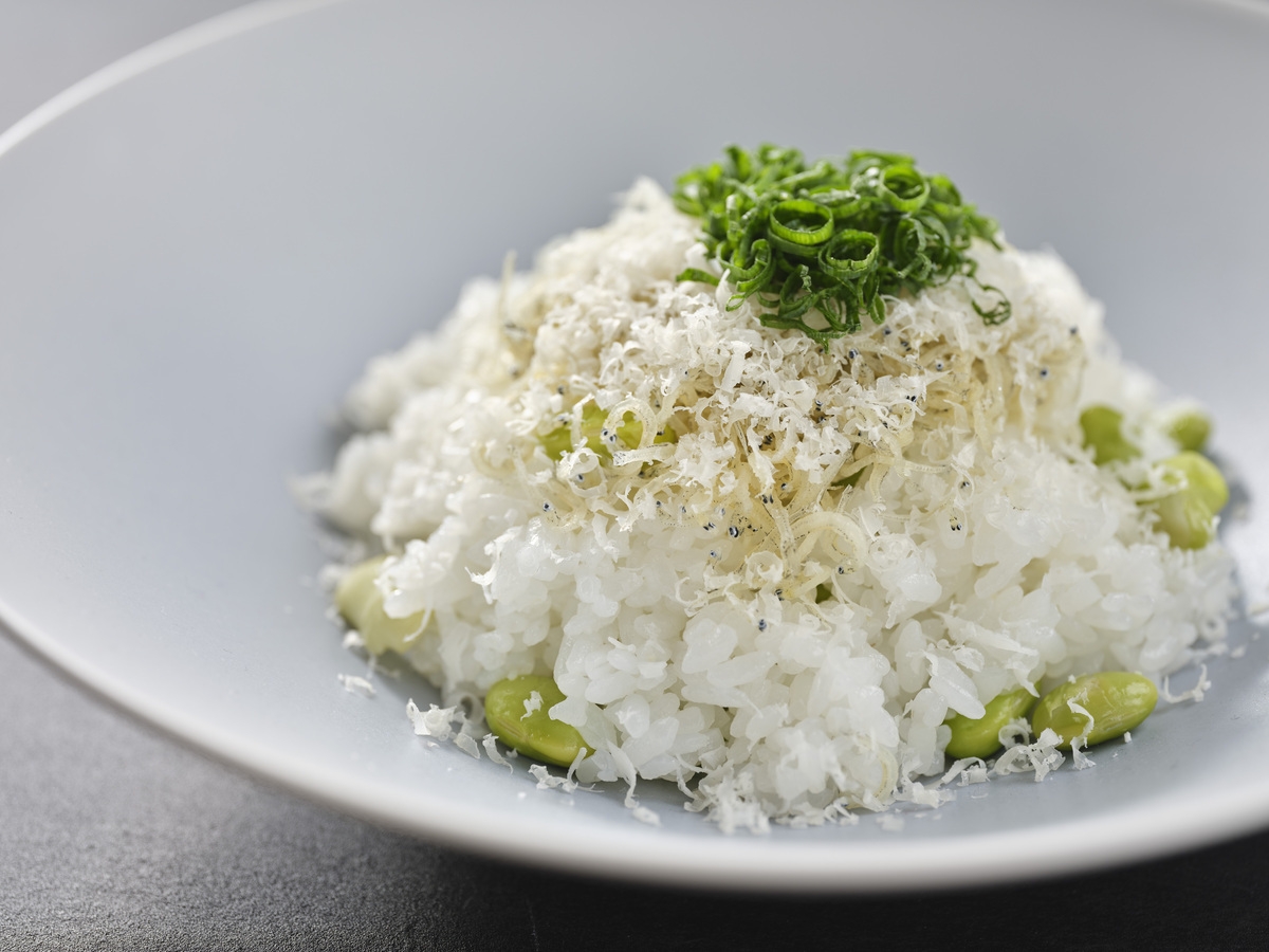 【ペット可】【味覚会席プラン】今が旬！ 信州の季節をまるごと味わう！信州キュイジーヌ 〜里山〜