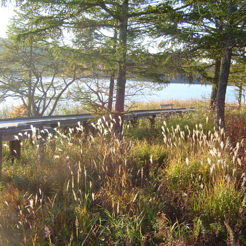 Autumn Goddess Lake