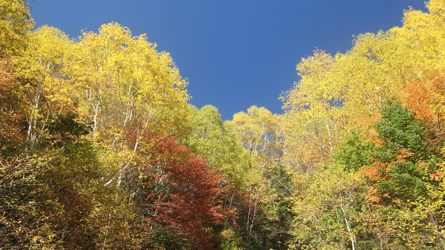 大河原峠