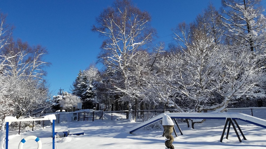 青空と雪のdog park