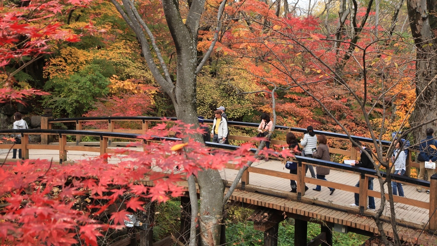 懐古園　黒門橋