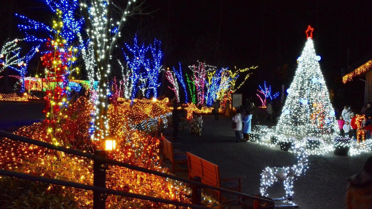 ■国営アルプスあづみの公園　ウィンターイルミネーション■