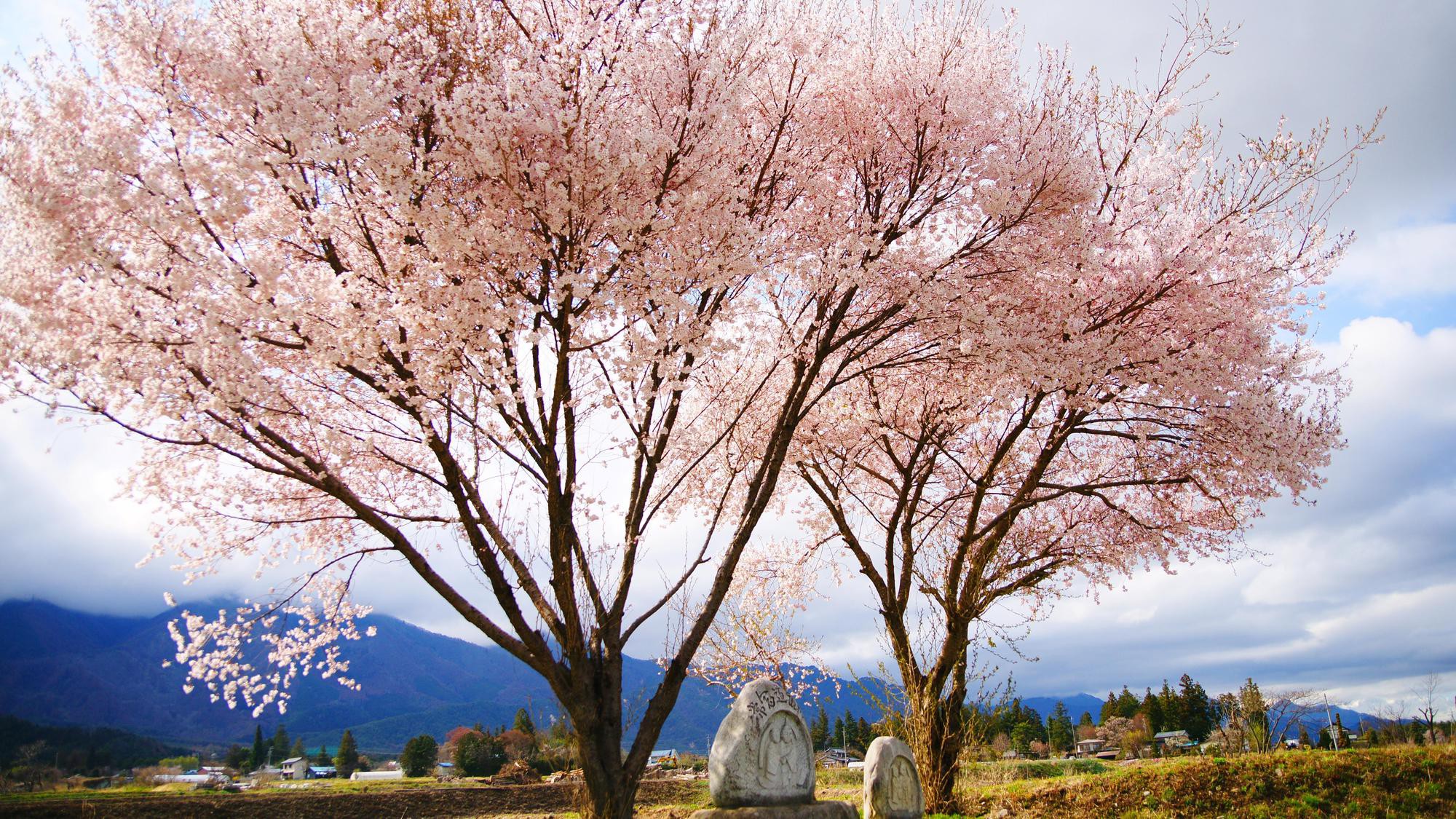 ■常念道祖神■