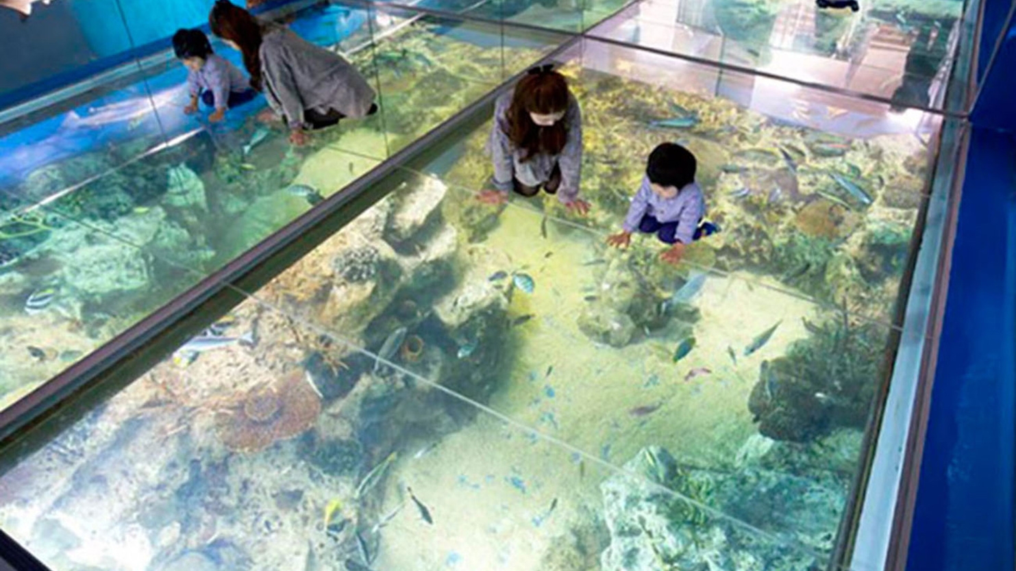 【入場チケット付き】松島水族館入場チケット付プラン　1泊2食付　創作バイキング