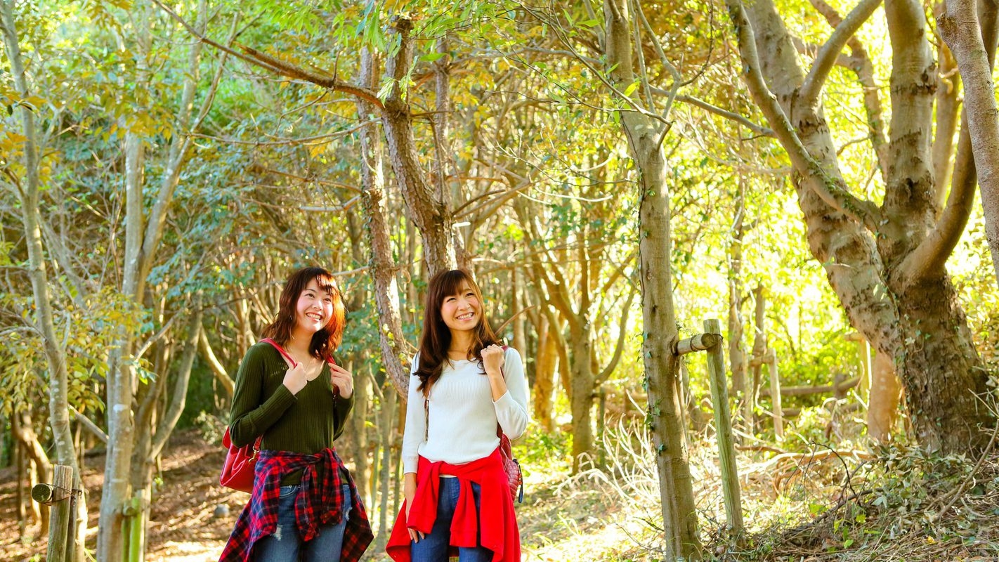 【特定日】【得旅】思い立ったら気軽に旅行！お日にち限定のお得プラン 1泊2食付基本バイキング