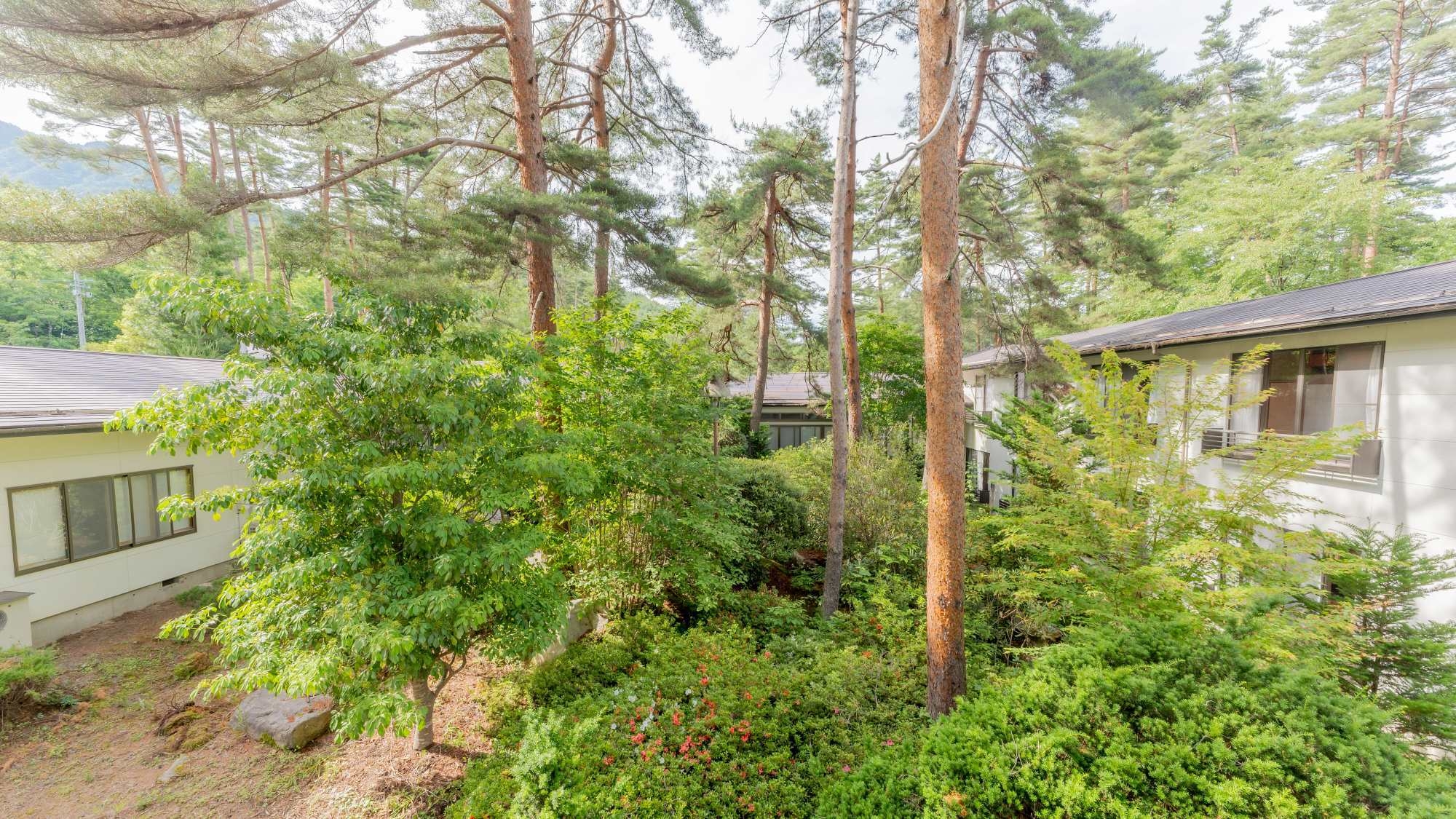 【1泊夕食付】早朝出発や朝はゆっくりした方におすすめ！！高評価な夕食と総檜造風呂の天然温泉に癒される