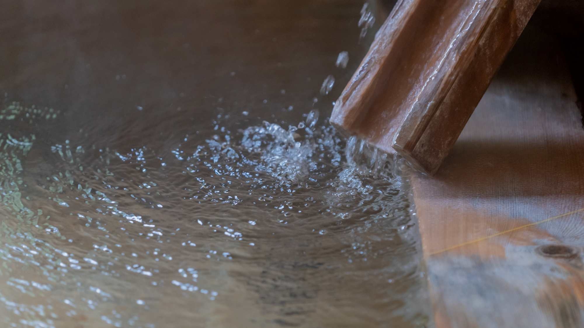 【まかないカレー定食／2食付】黒毛和牛陶板焼と館主特製まかないカレーのお手軽プラン！天然温泉も堪能
