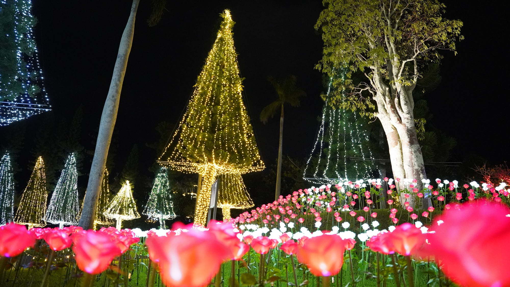 【全国3位に輝く☆★煌めきの世界へ】東南植物楽園イルミネーション入園券付きプラン（夕朝食付き）