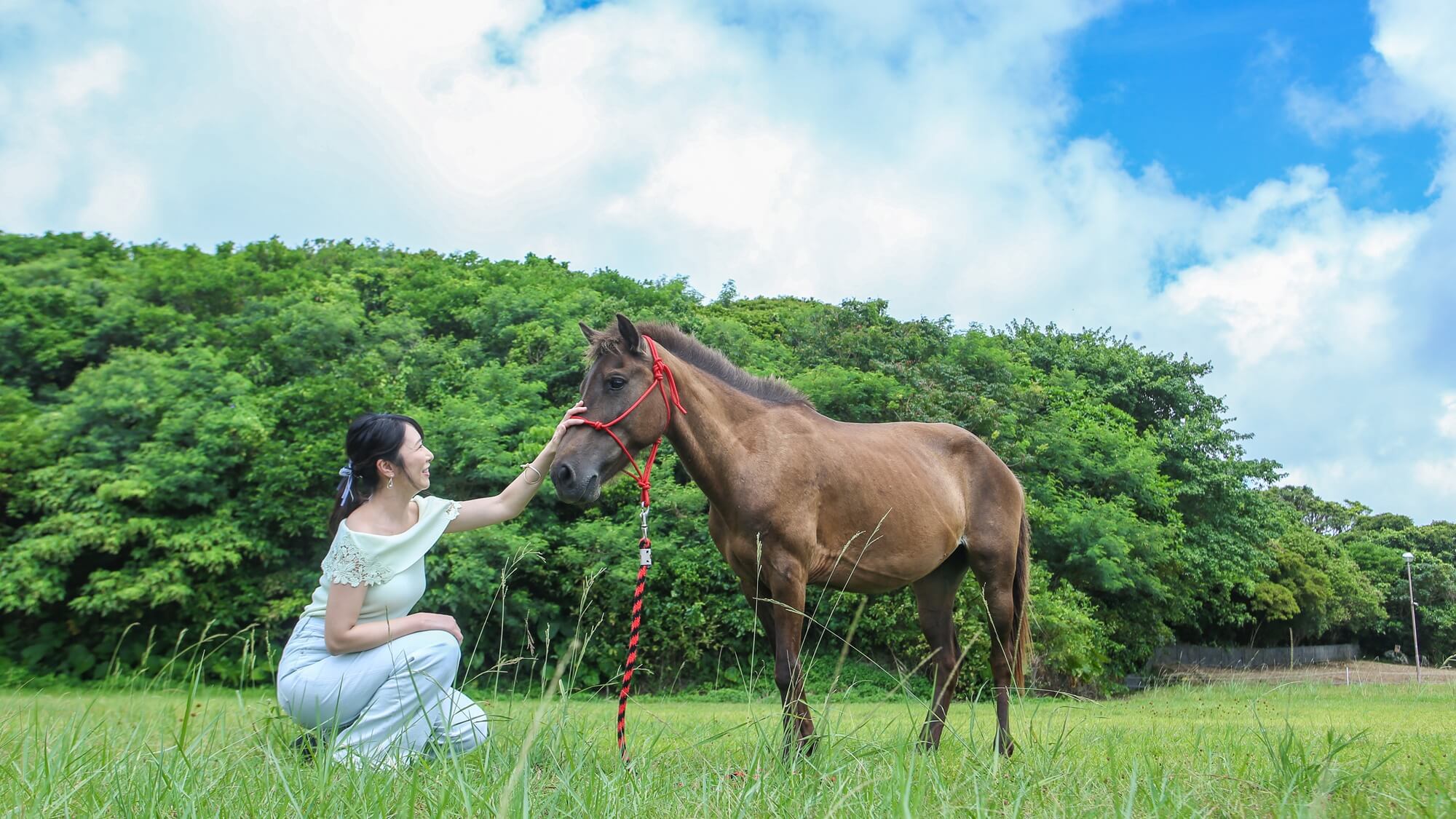 【春SALE】#心も体も整う旅☆絶景かけ流し温泉とサウナを満喫、ホテル内アクティビティも豊富！素泊り