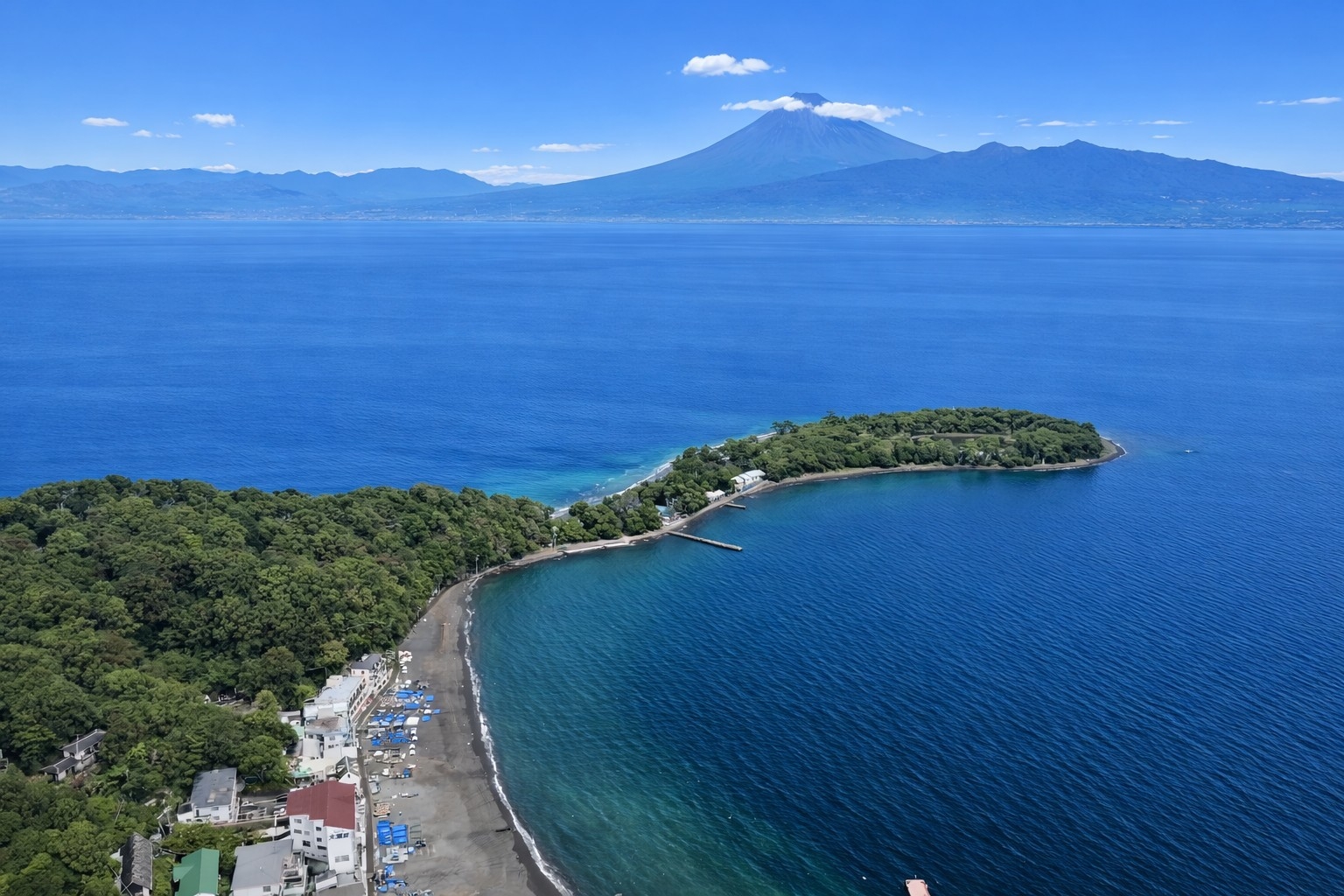 【季節の半会席料理 〜駿河湾〜】　旬の海の恵みをいただく伊豆旅 ＜2食付き＞