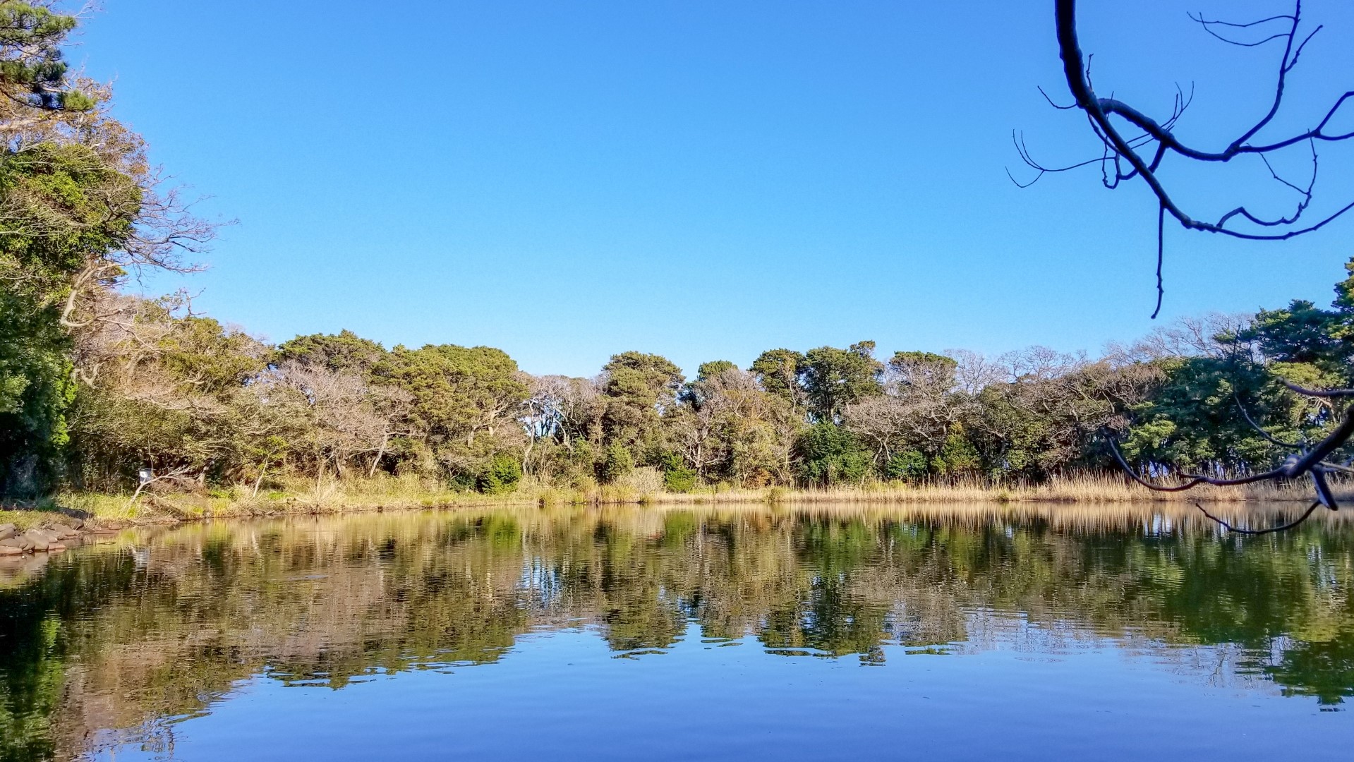 【神池】当館からお散歩で5分♪