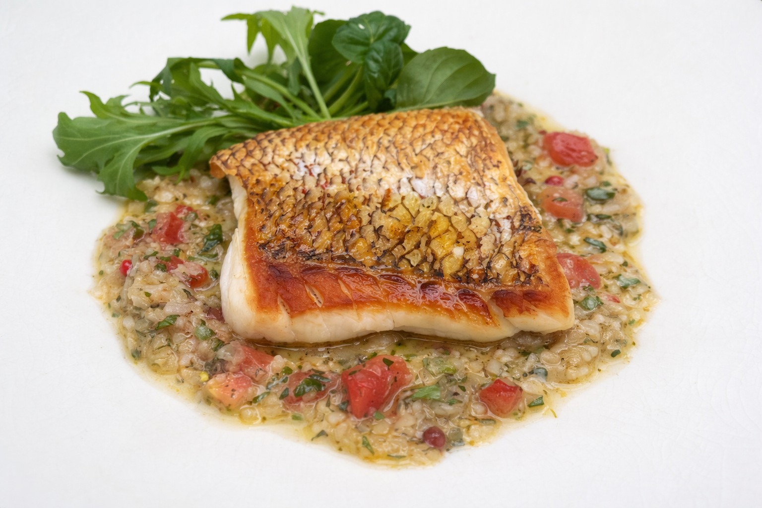 夏メニュー_お魚