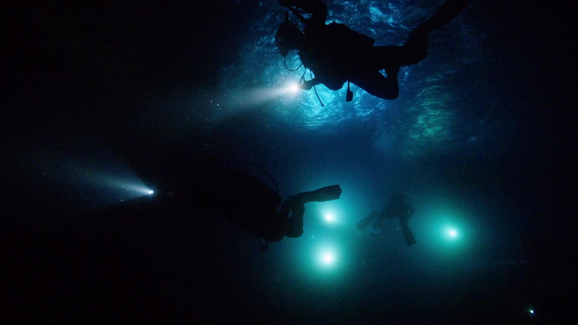 ナイトダイビング