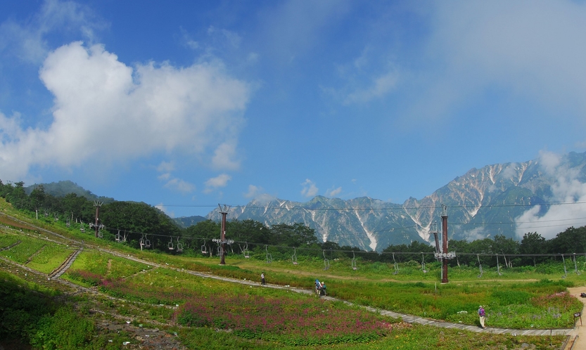 ■五竜高山植物園　当館からお車で約20分の場所にございます