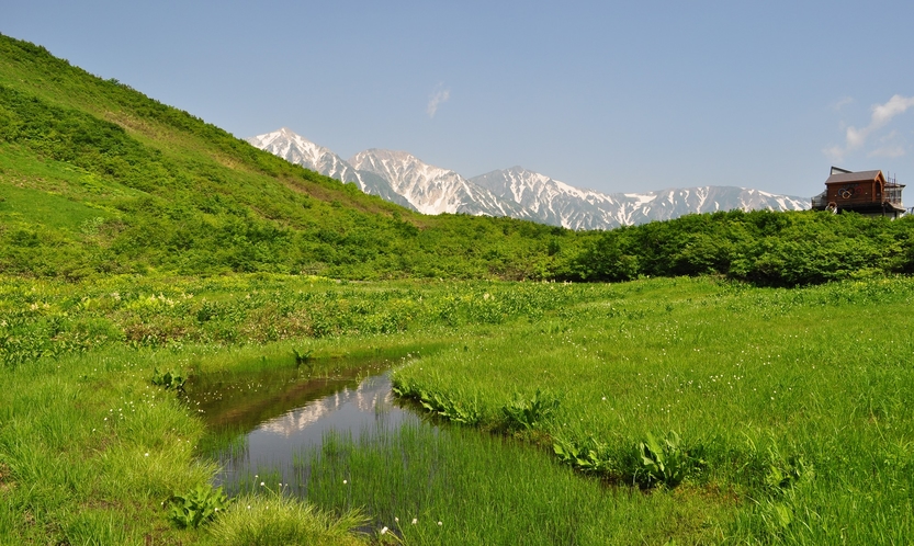 ■八方尾根自然研究路