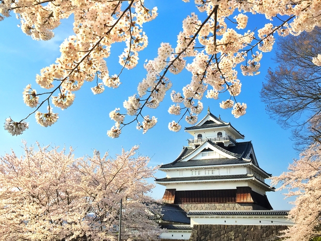 kaminoyama castle 桜をまとった上山城