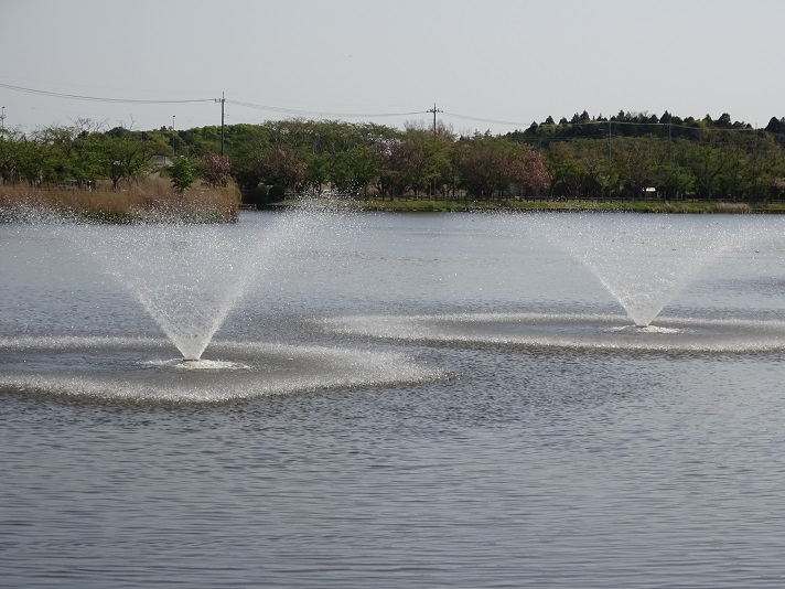 乙戸沼公園　噴水です！