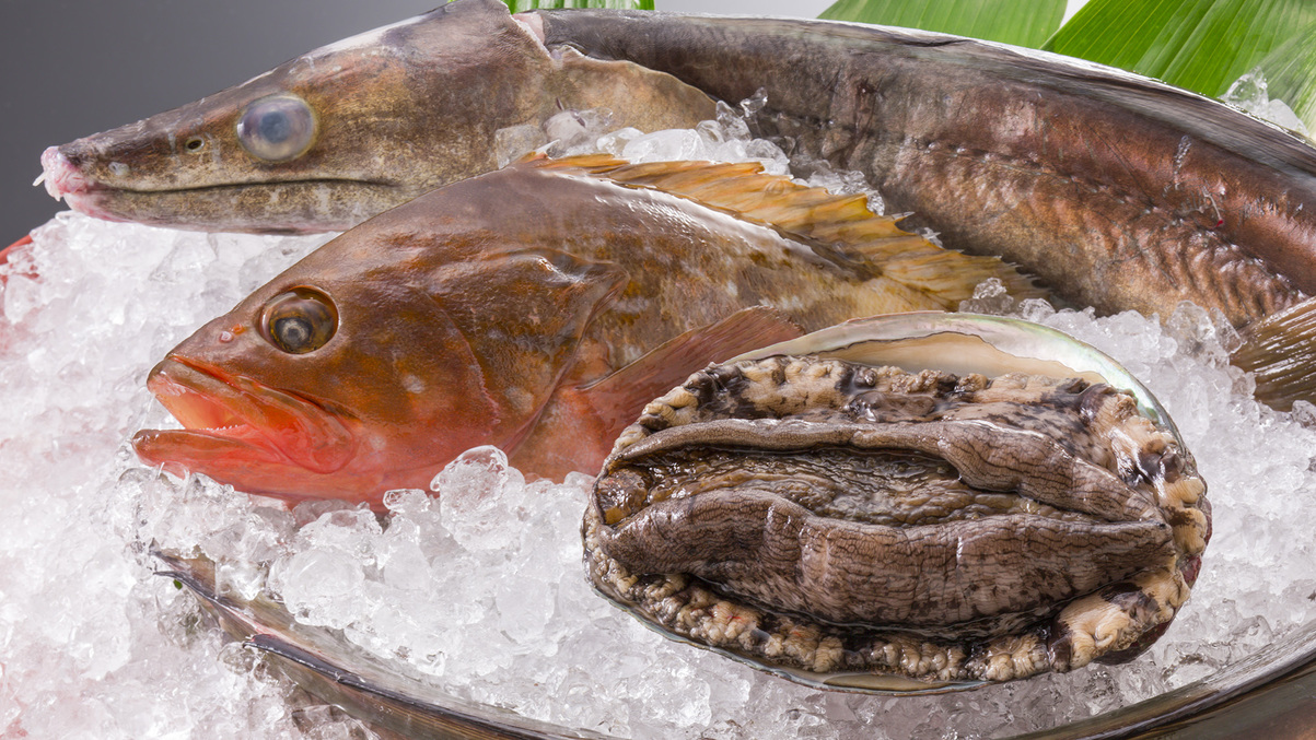 【瀬戸内-姿盛り-】“瀬戸内海沿いの宿”だからこそ＜新鮮な刺身＞が食べたい！4大特典付！