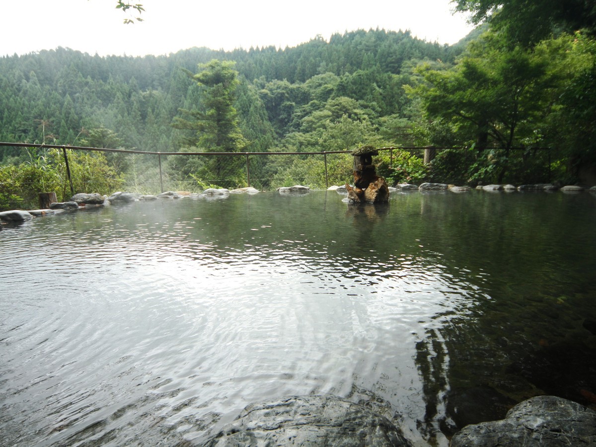 写真1