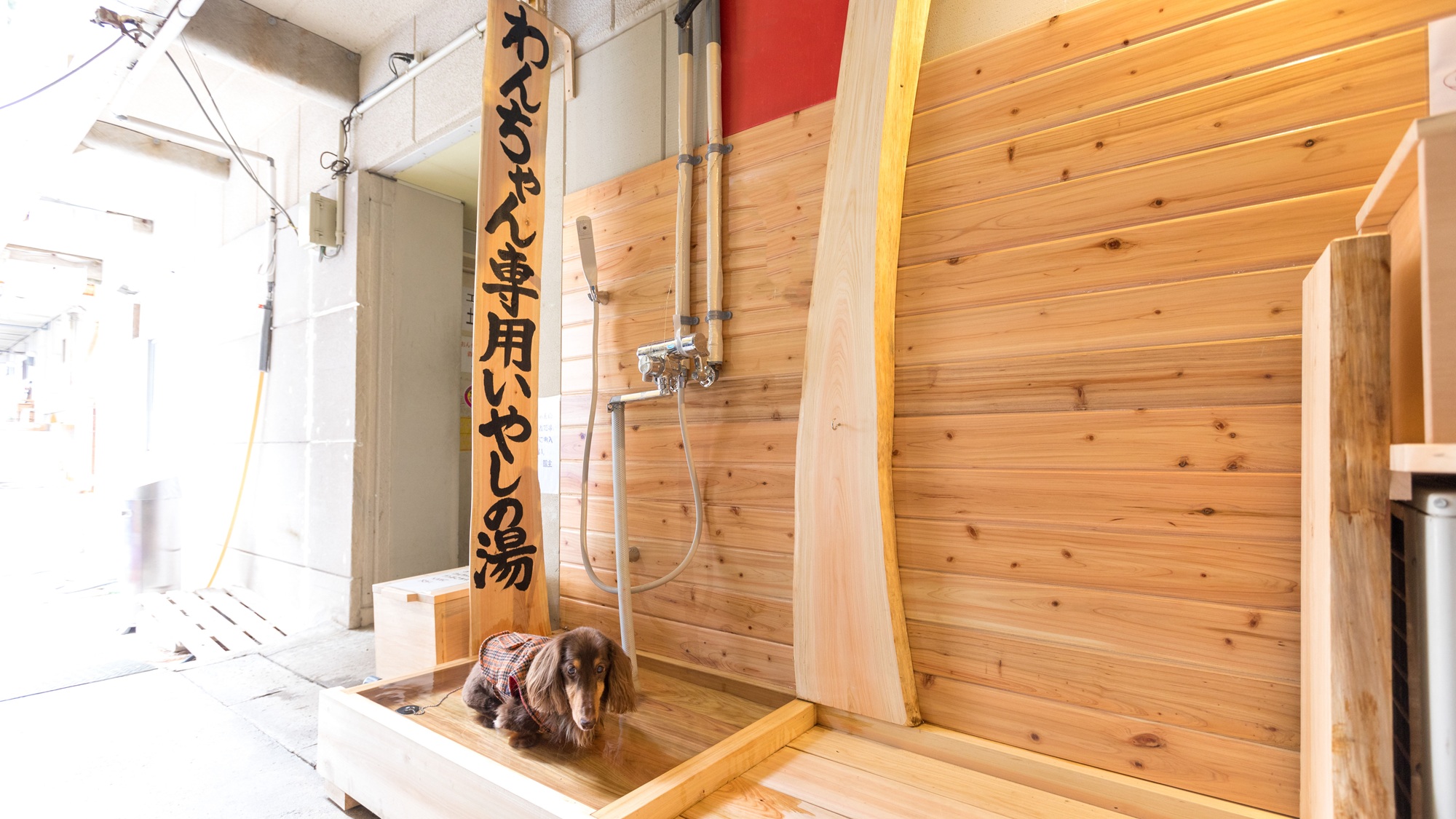 【ワンちゃん専用・いやしの湯】温泉旅館だからこそできるワンちゃんの足湯