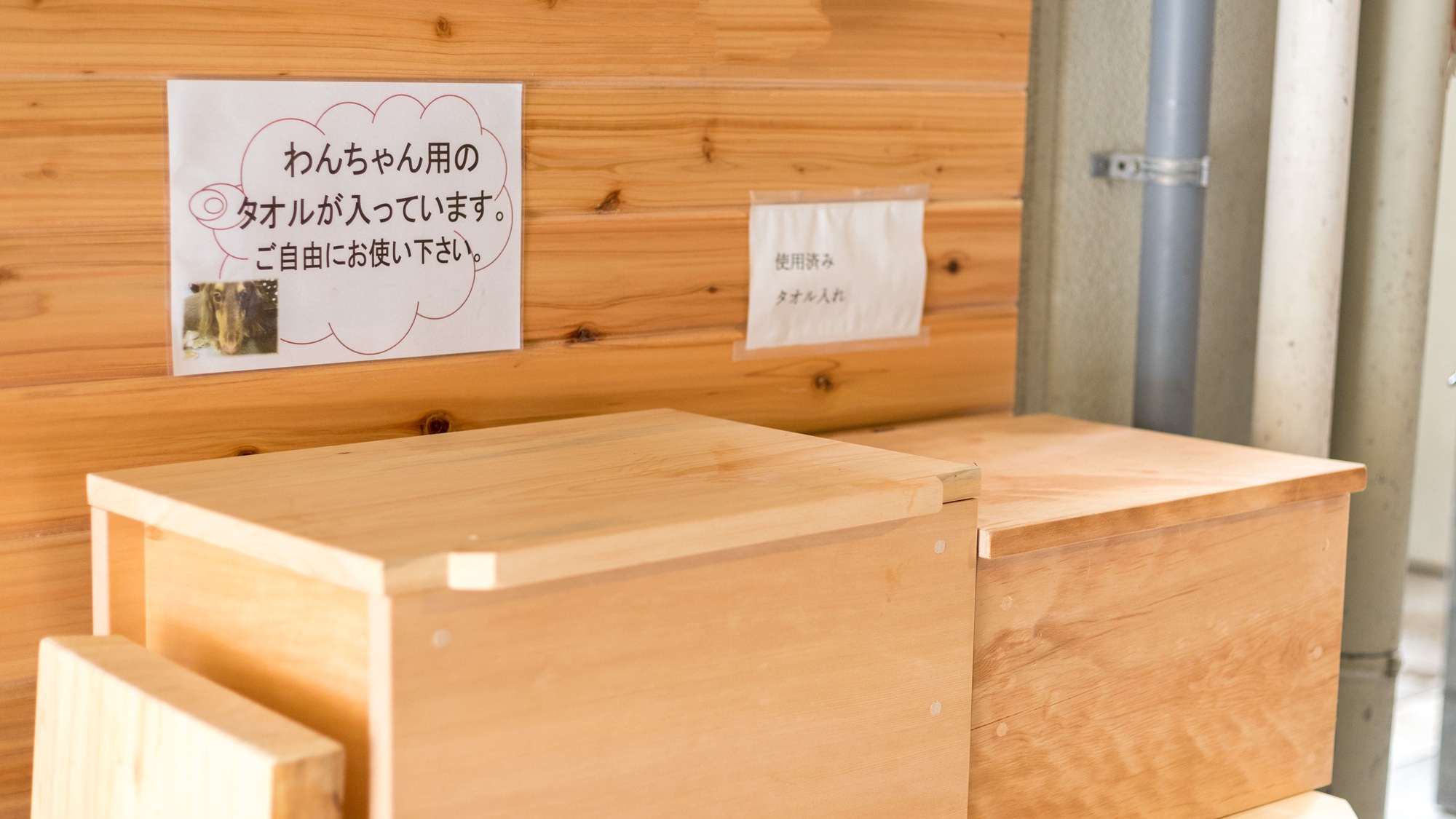 【ワンちゃん専用・いやしの湯】ワンちゃん用のタオルも用意しております。