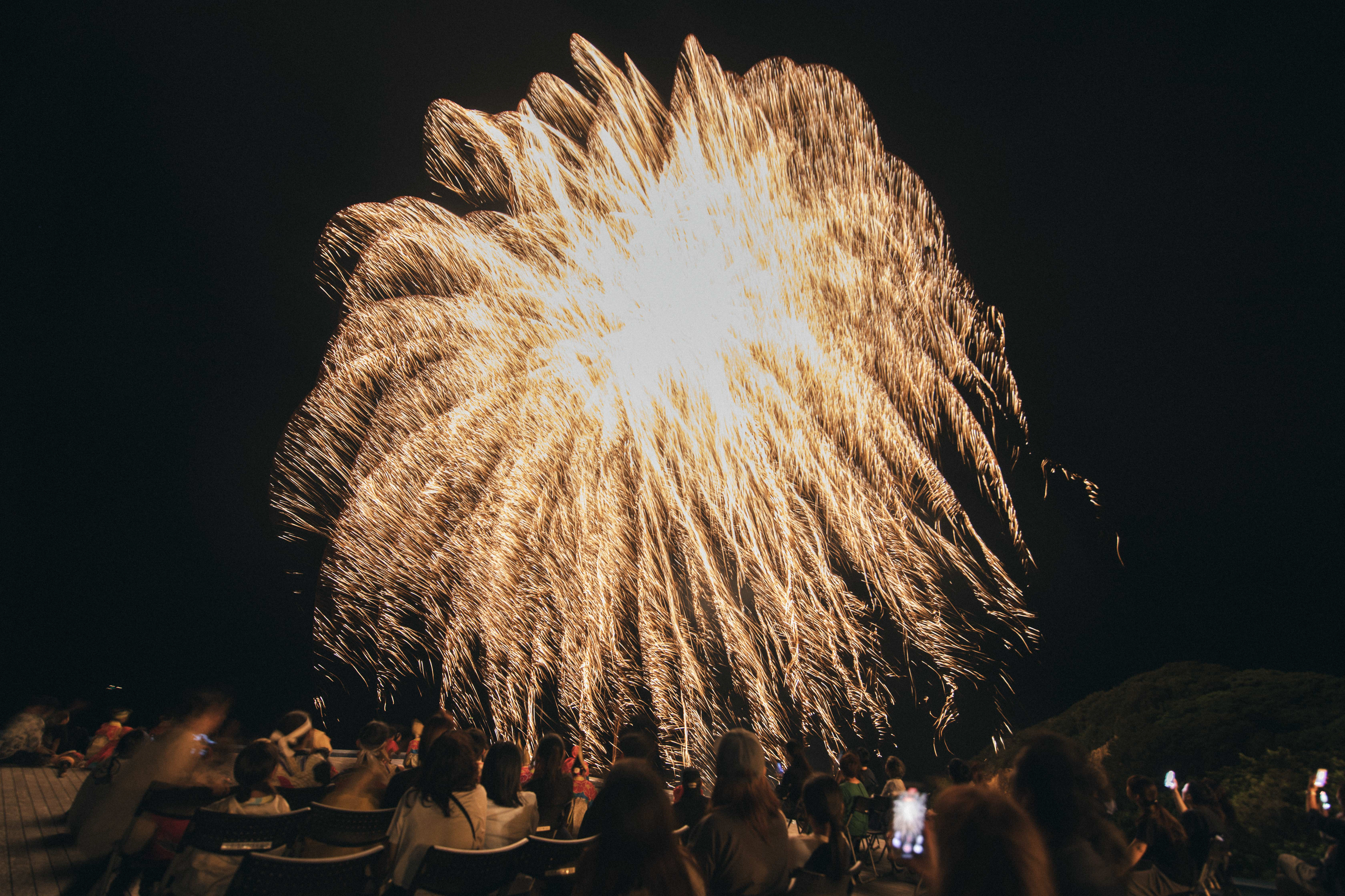 ざまなフェス花火